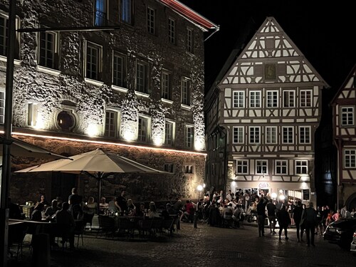 Large ecological vacation apartment in old attic building with beautiful garden 3-6 persons