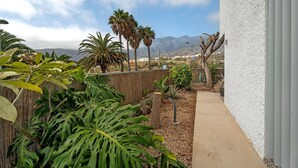 Um jardim com plantas tropicais, um caminho de concreto e um edifício branco.