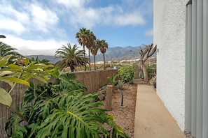 A garden with tropical plants, a concrete pathway, and a white building.