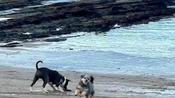 Playa en los alrededores