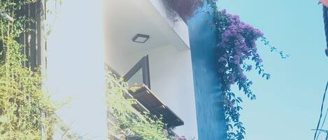 A building with balconies adorned with flowering plants and a clear blue sky.