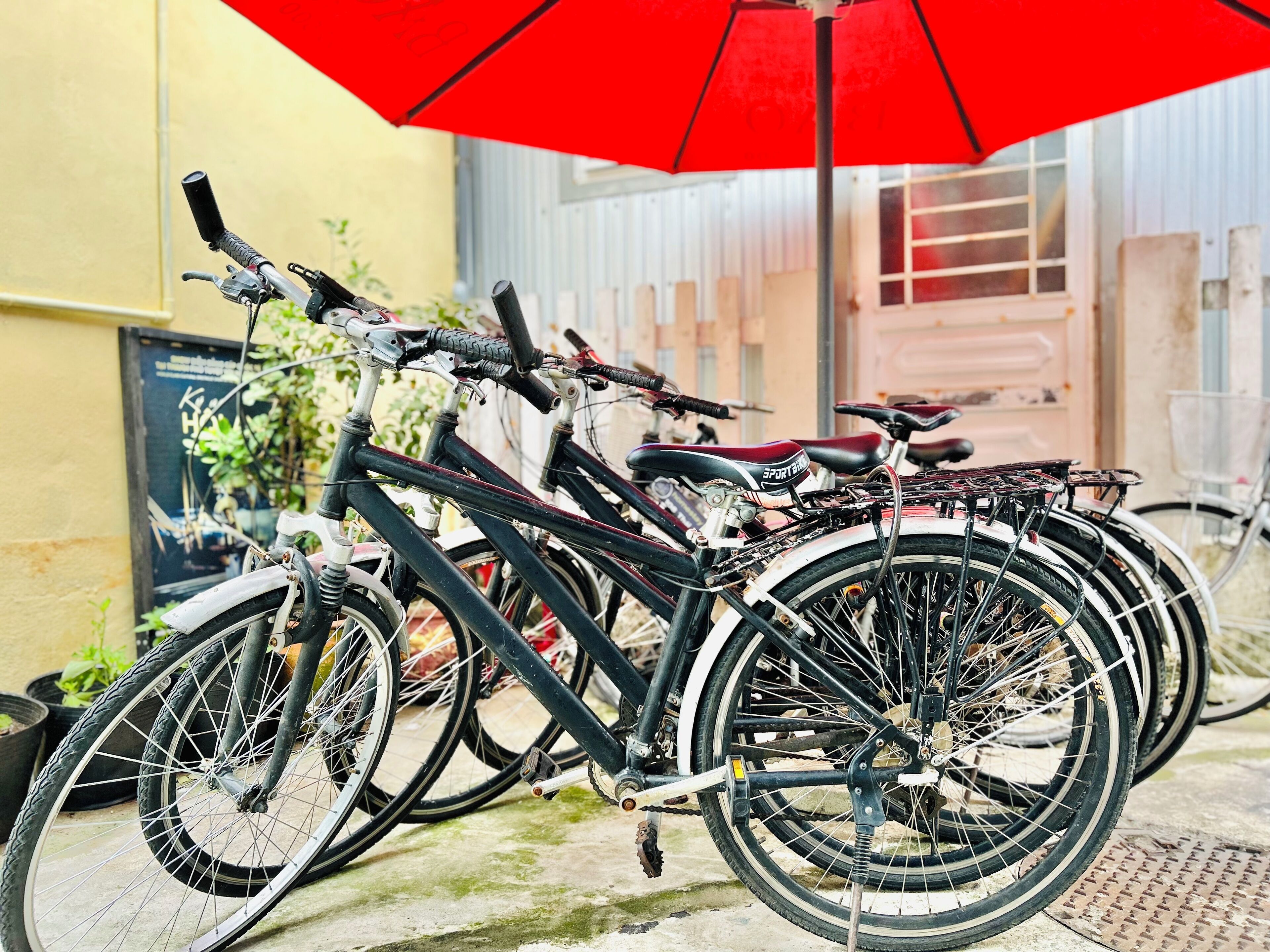 Photo - May's House Hoi An