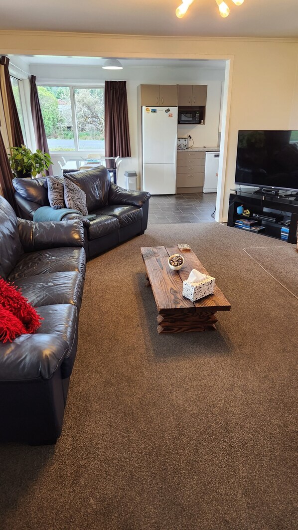 Fireplace, DVD player, books, video library