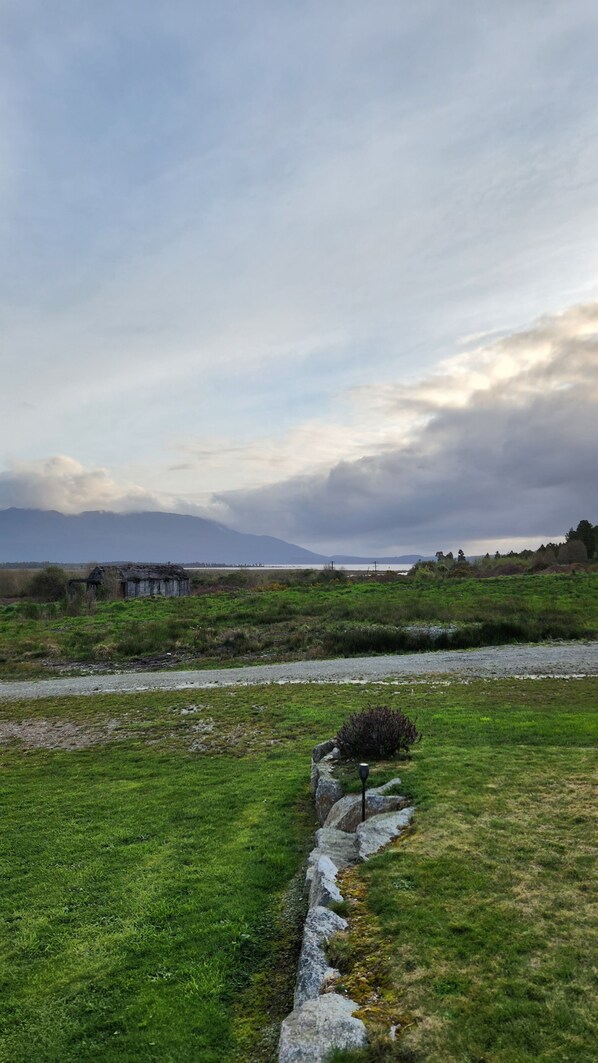 A grassy field with a stone wall and a small bush.