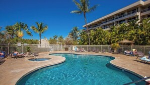 A swimming pool with a curved design, surrounded by palm trees and lounge chairs.
