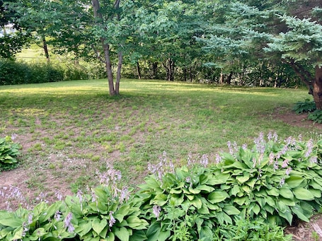 View from property. Whispering Birch Bed and Breakfast
