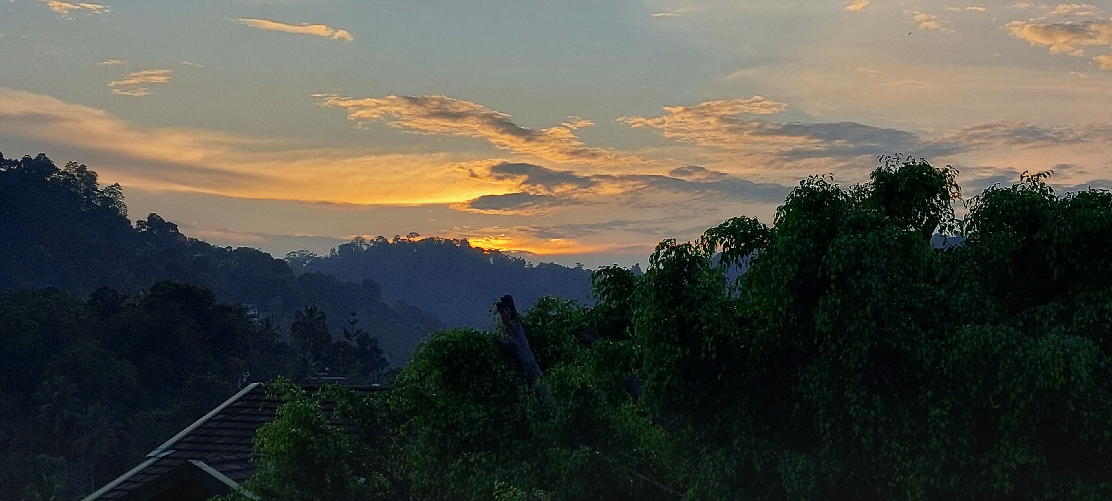 A view of a forested area with a house in the foreground and a sunset in the background.
