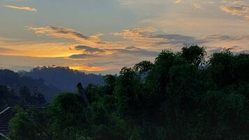 A view of a forested area with a house in the foreground and a sunset in the background.