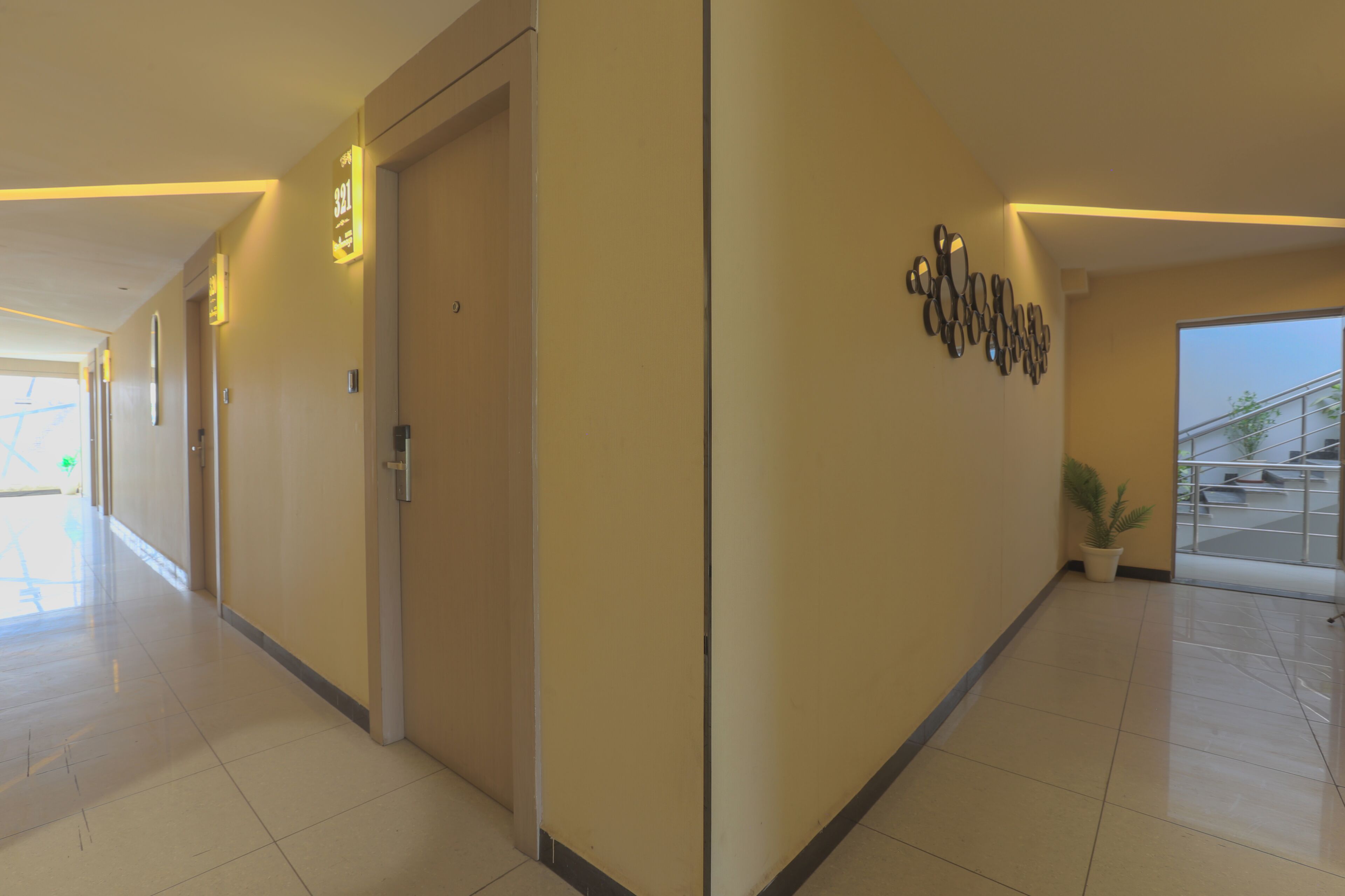 A hotel corridor with doors, a potted plant, and wall-mounted decor.