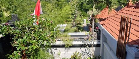 A residential area with a swimming pool, lush greenery, and a red flag.