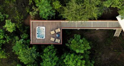 Tree of Life Ramvilas Bandhavgarh