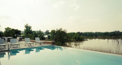 Tree of Life Ramvilas Bandhavgarh