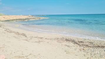 Lettini da mare