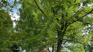 Un quiosco con un sendero de grava que lo conduce, rodeado de césped exuberante y árboles.
