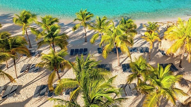 A beach with palm trees, clear blue water, and a thatched-roof structure. - VIP Blue Bay Beach Villa 5 (Sint Michiel)