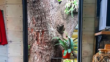 Rumah | 4 kamar tidur