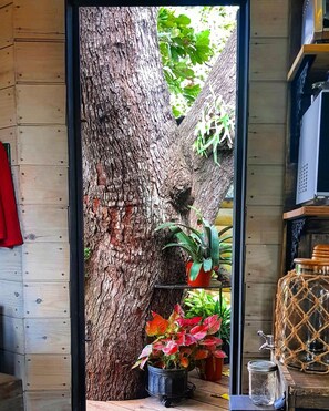 House - Quinta Pavo Real Complex by Acomodo (San Jose)