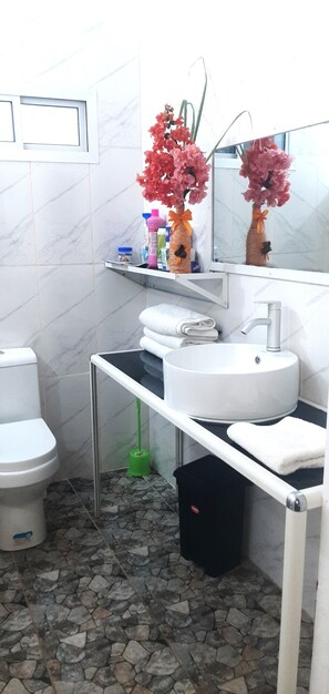 Bathroom - Game Fish Apartment (Nungwi)