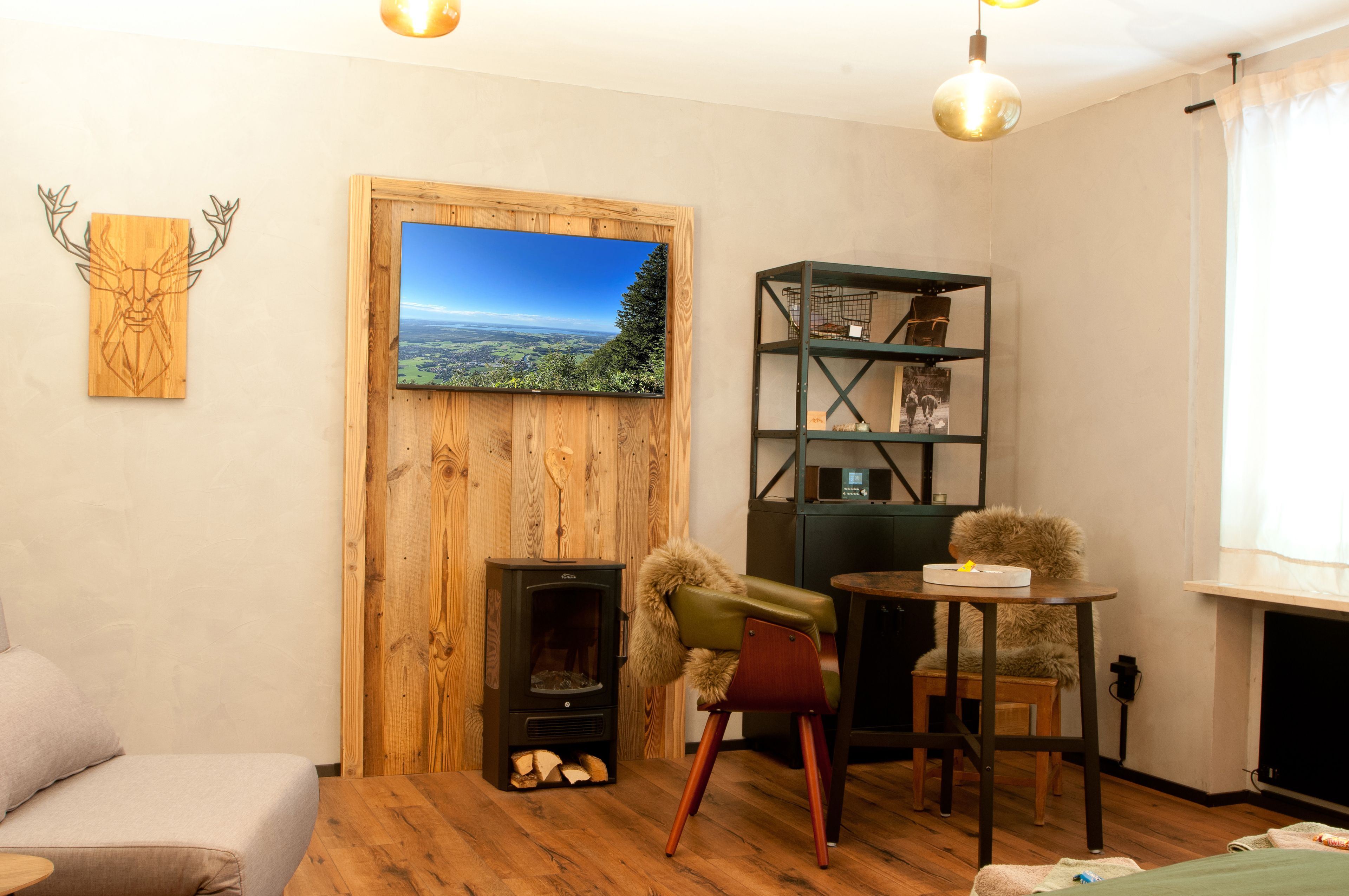 Een knusse woonkamer met een open haard, een televisie en een boekenkast.