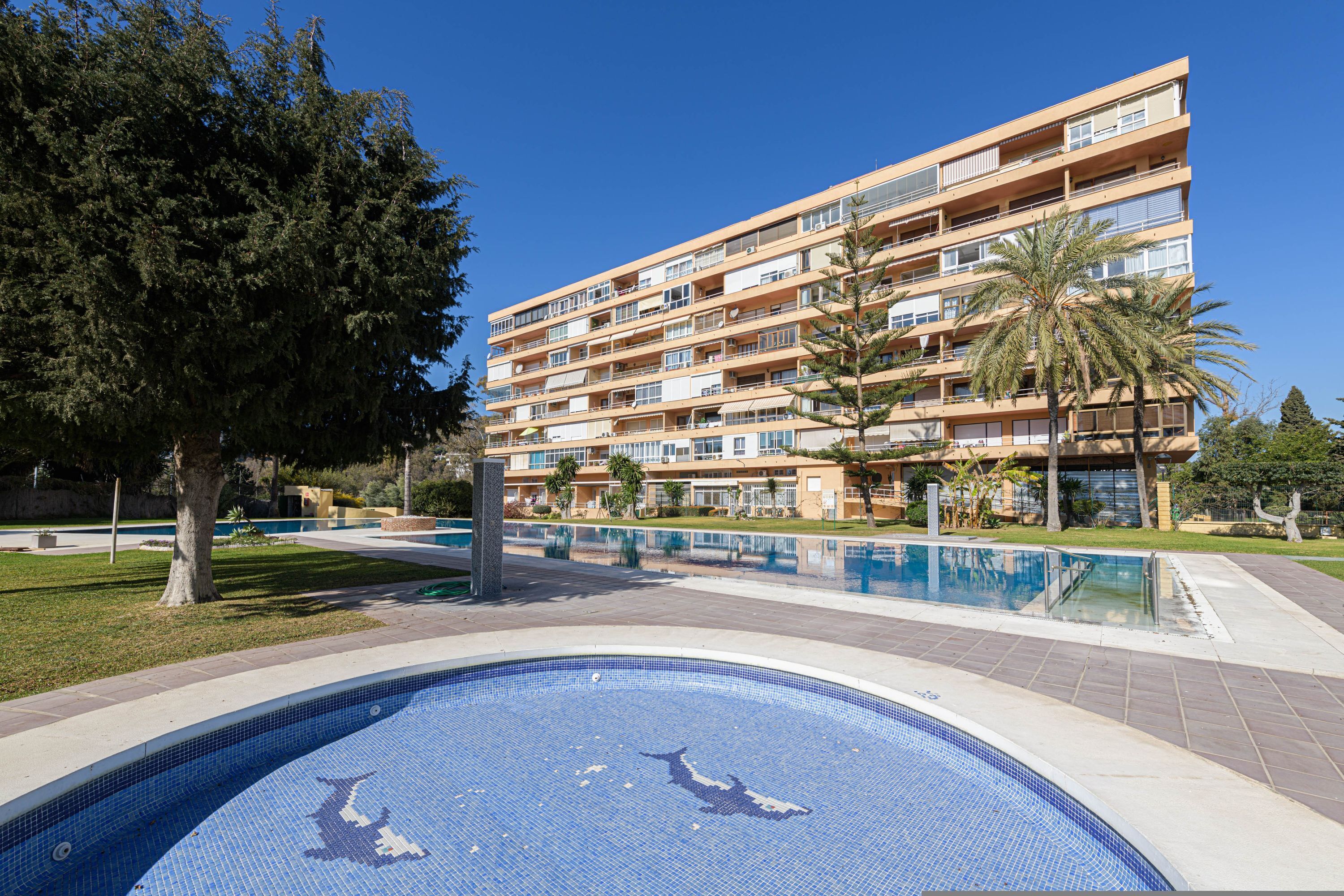 Un hotel de varios pisos con balcones, piscina con mosaicos de delfines y una palmera.