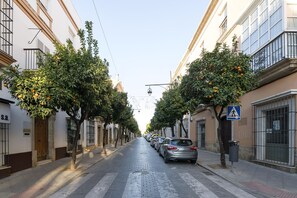 Rua estreita ladeada por árvores frutíferas, carros estacionados e edifícios com sacadas e janelas com grades.