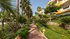 Un sentiero fiancheggiato da palme e vegetazione, che conduce a un edificio con pareti esterne gialle e bianche.
