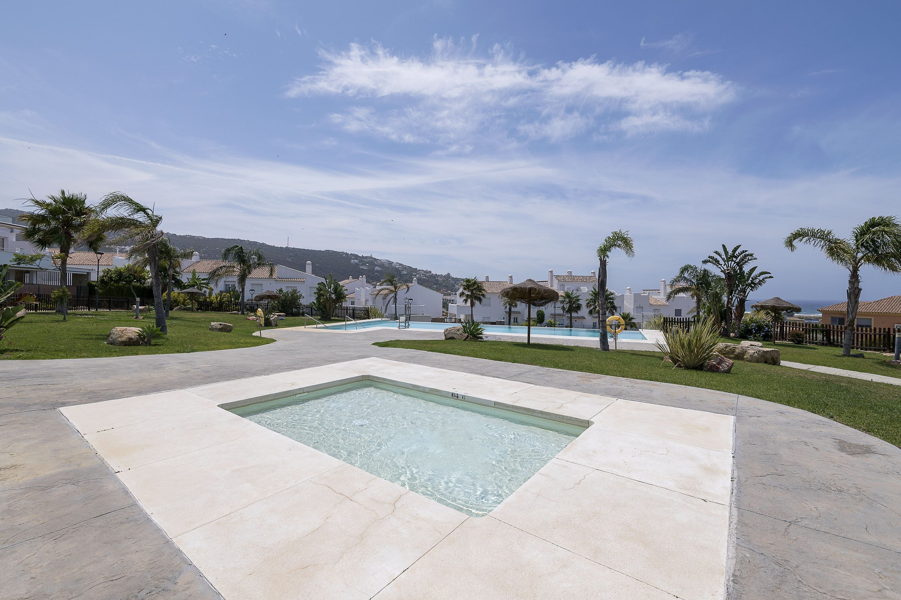 Piscina con vista a agua cristalina, rodeada por una zona pavimentada con palmeras y un césped.