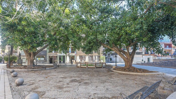Une place pavée avec des bancs et un arbre.