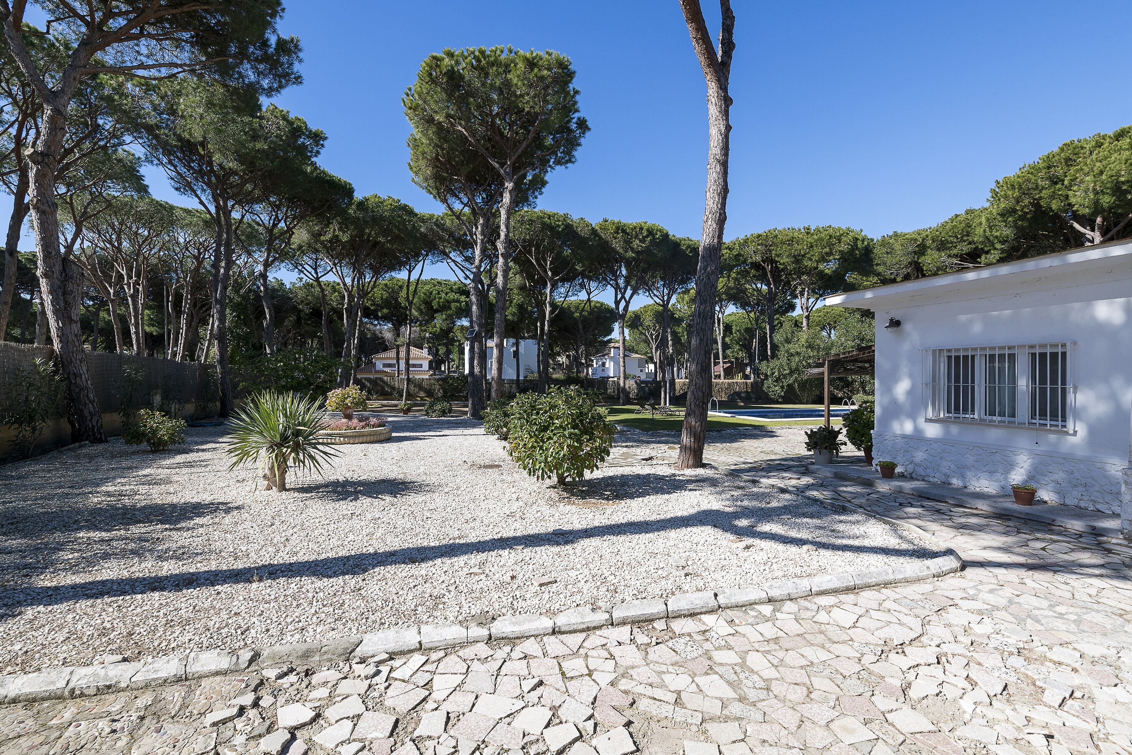 A courtyard with a white building, trees, and a gravel path.