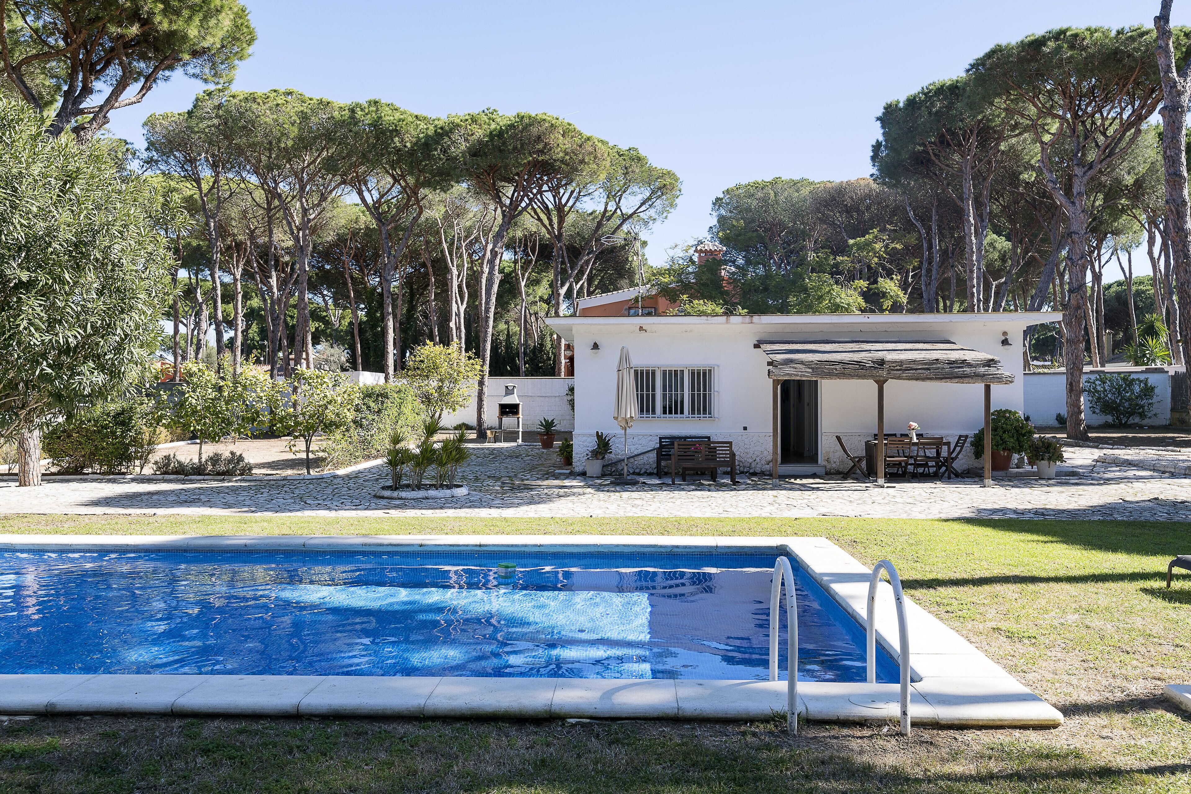 A swimming pool with a patio area, surrounded by trees and a small building with outdoor seating.