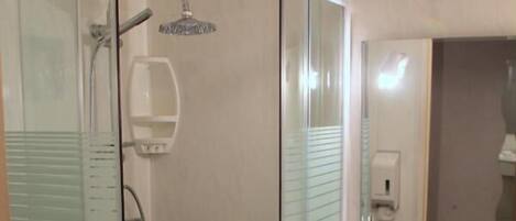 A bathroom with a glass-enclosed shower, a toilet, and a sink with a mirror.