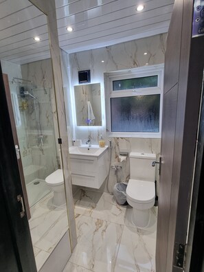 Shower, hair dryer, bidet, towels