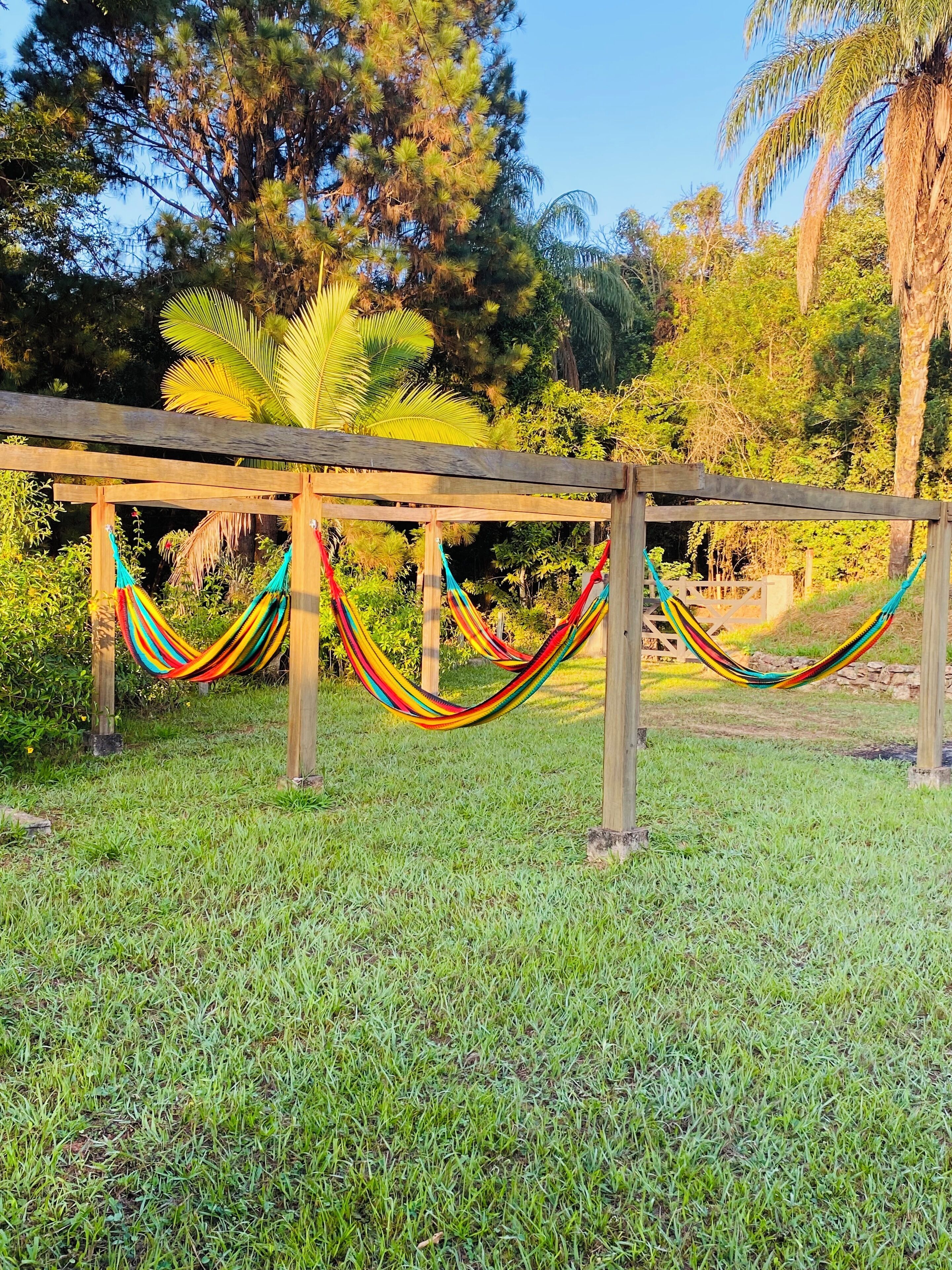 A hammock set up between wooden posts in a grassy area with trees in the background.