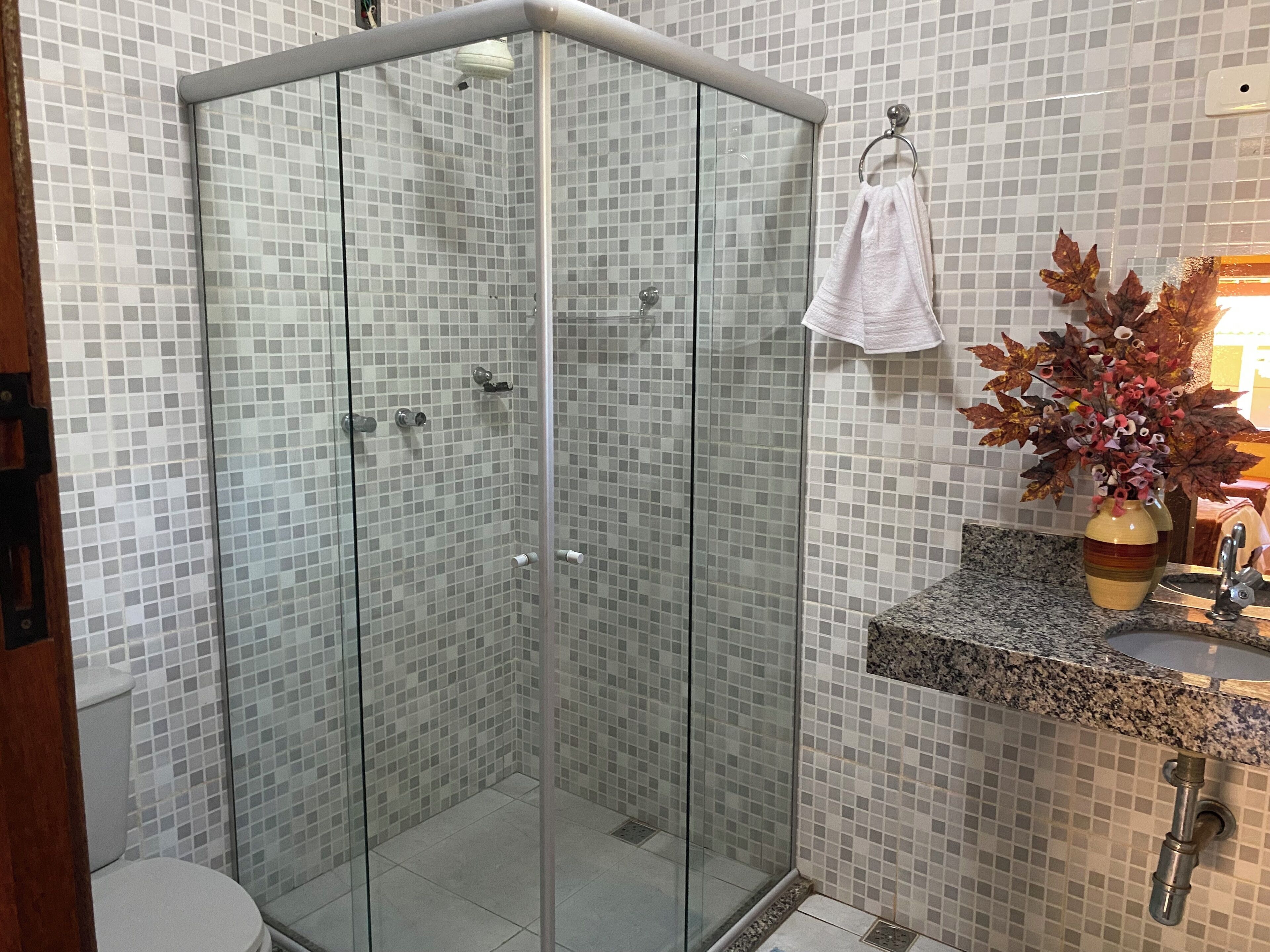Une douche fermée par des parois de verre, un mur recouvert de carreaux, un plan de travail en granit avec un évier et un vase contenant des feuilles séchées.