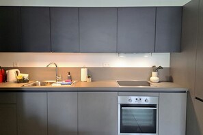 Fridge, oven, stovetop, dishwasher - Cosy bilo close to the centre (Urban 1) (Lugano)