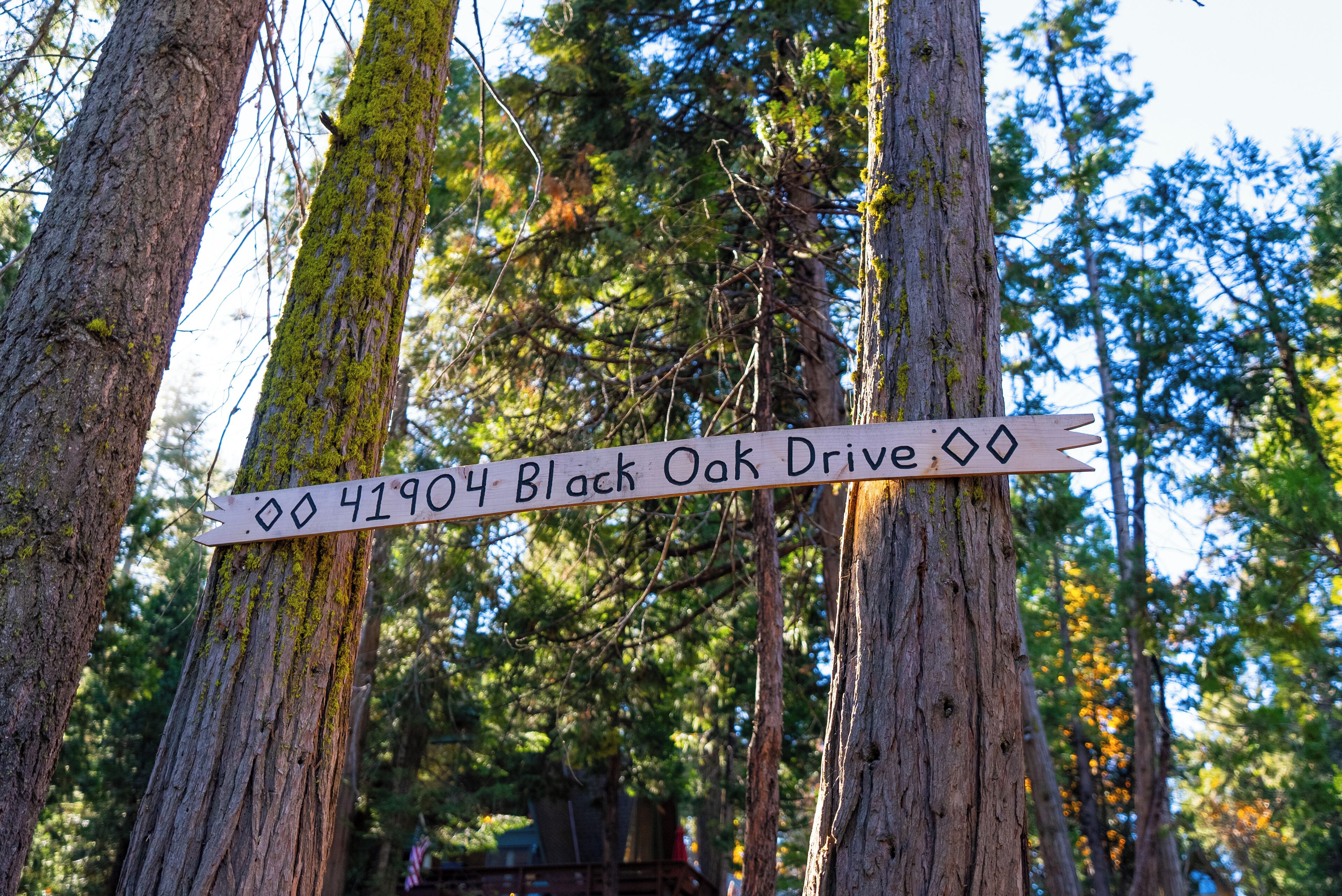 A wooden sign with the text "00 41904 Black Oak Drive."