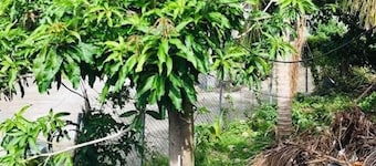 Tropical Paradise Retreat in Soufriere