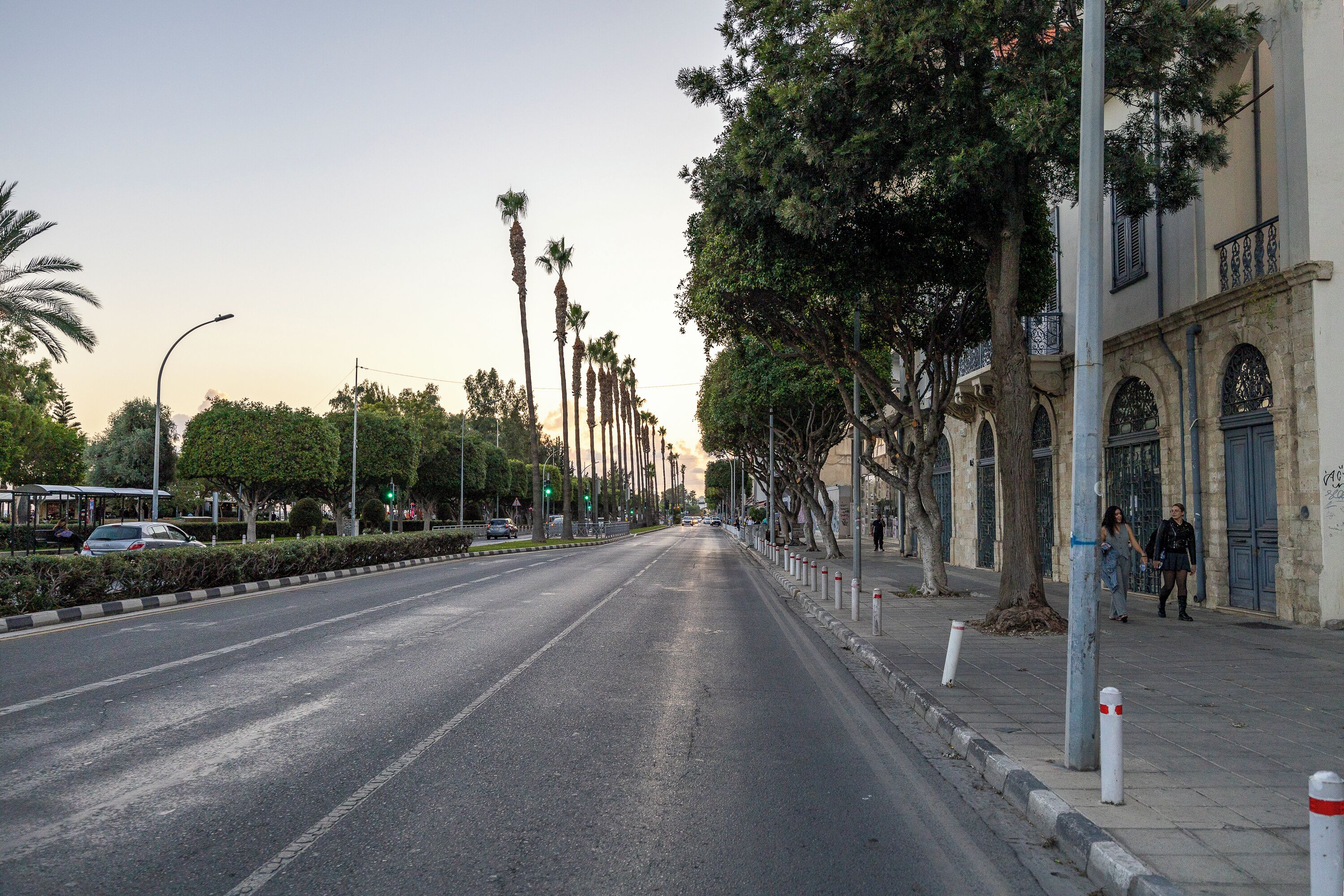 Une rue bordée de palmiers et un trottoir agrémenté de bornes.