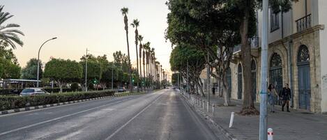 Une rue bordée de palmiers et un trottoir agrémenté de bornes.
