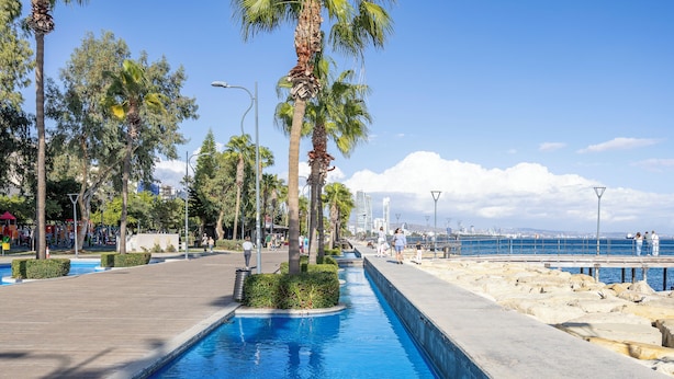 Una piscina larga y estrecha con agua azul cristalina, rodeada de palmeras y un camino pavimentado.