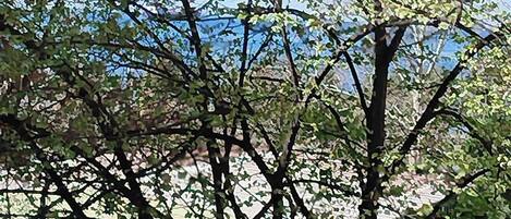 Căn hộ, 1 phòng ngủ, hút thuốc, ban công | Quang cảnh nhìn từ nơi lưu trú