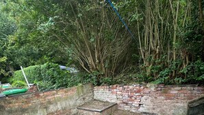 A garden with a brick wall, a paved area, and dense foliage.