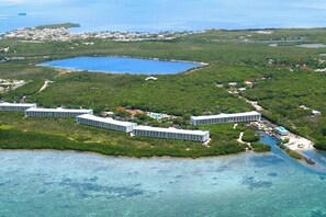 Unclassified image, 2 of 78, button