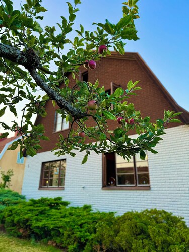 Ariana home (fully furnished house with garage and patio in the center)