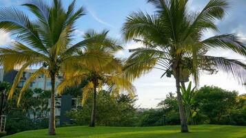 Apartamento | 3 dormitorios