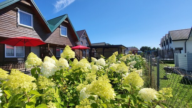 A row of wooden houses with red umbrellas, surrounded by lush greenery and white flowers.