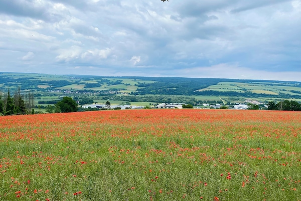 Mohnfeld mit Blick auf Beverungen