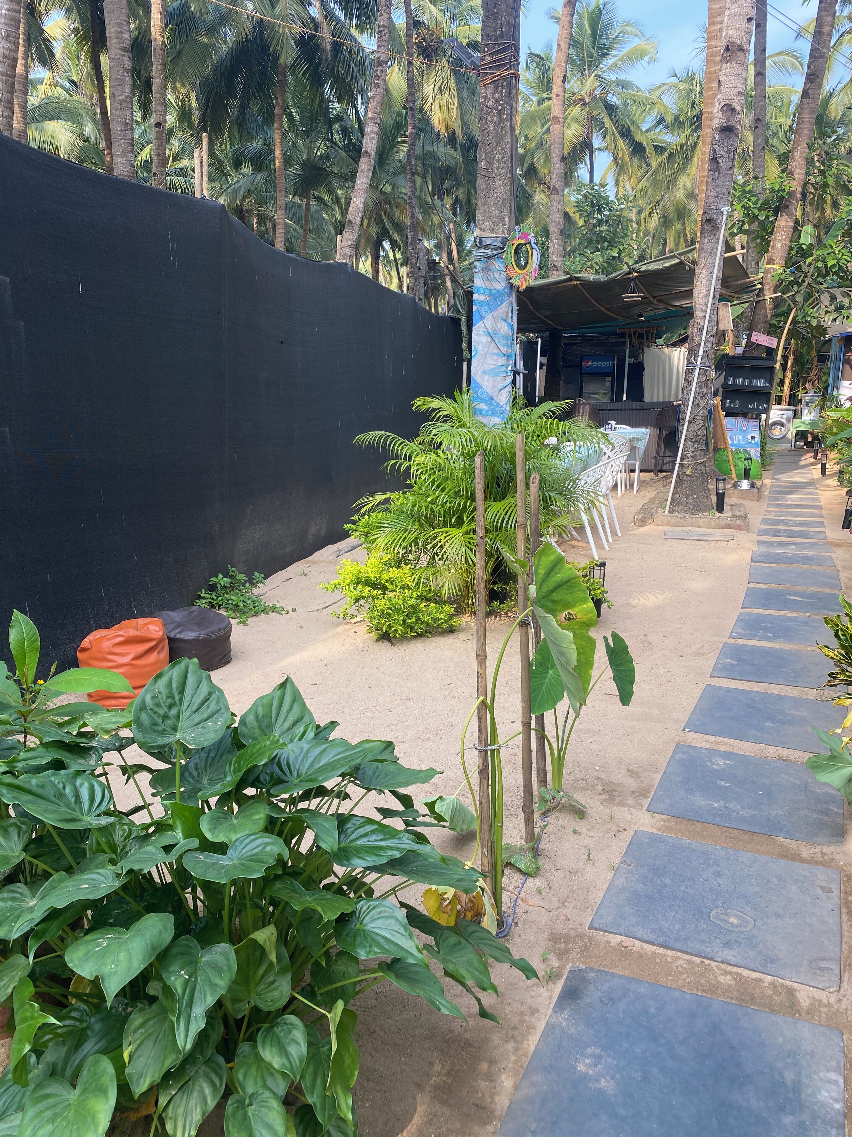 A pathway lined with large green plants, a black wall, and a covered seating area with a Pepsi sign in the background.