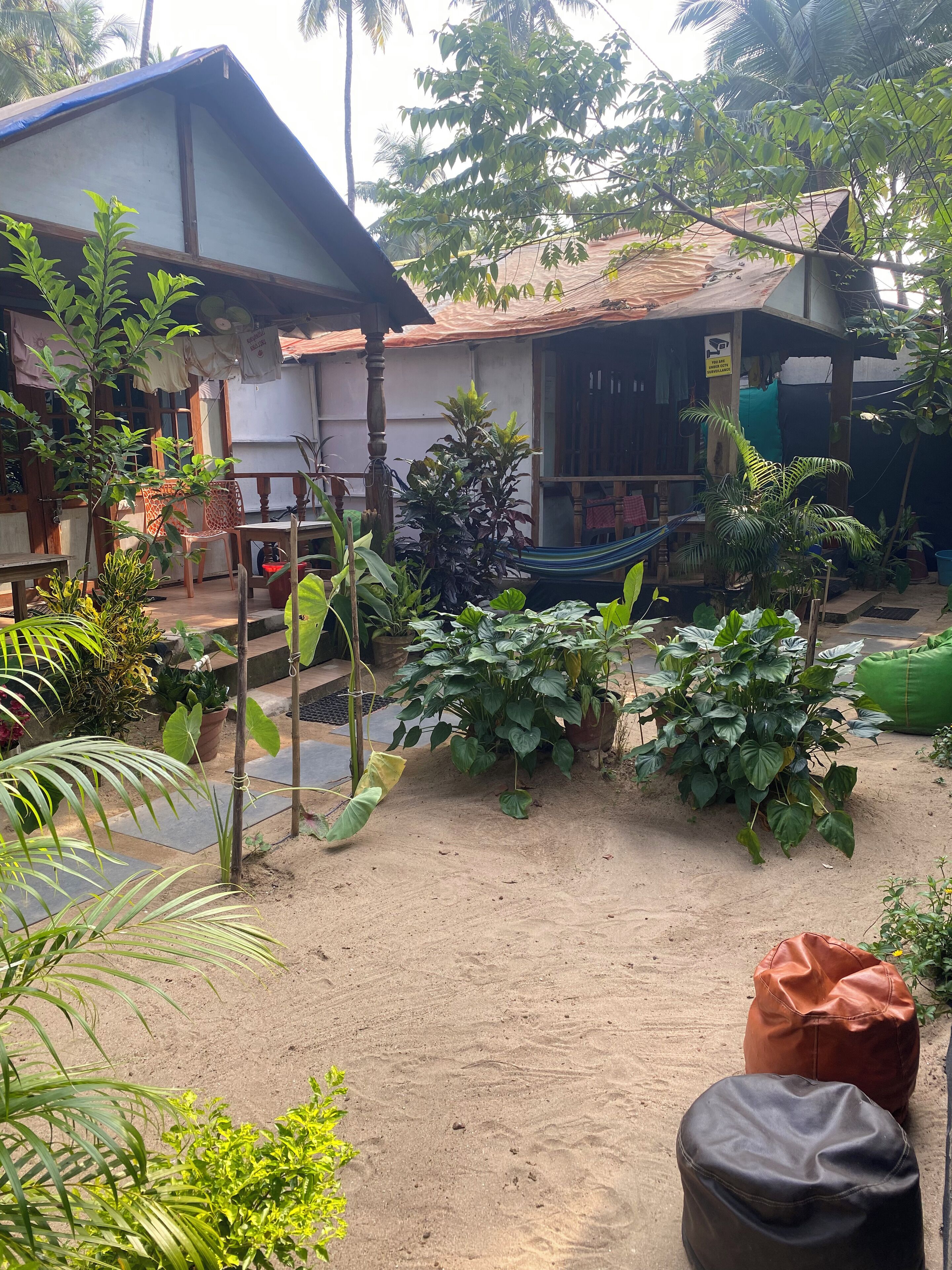 Un patio con una hamaca, plantas en macetas y una pequeña mesa.
