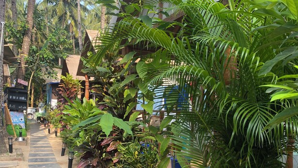 Een pad omzoomd met tropische planten en palmbomen, dat leidt naar een gebouw met een overdekte ingang.